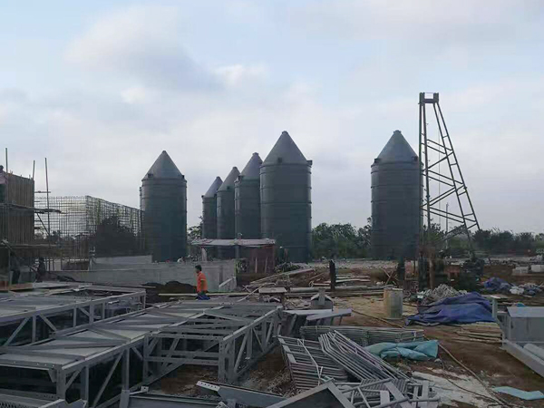 �͑�(h��)����8